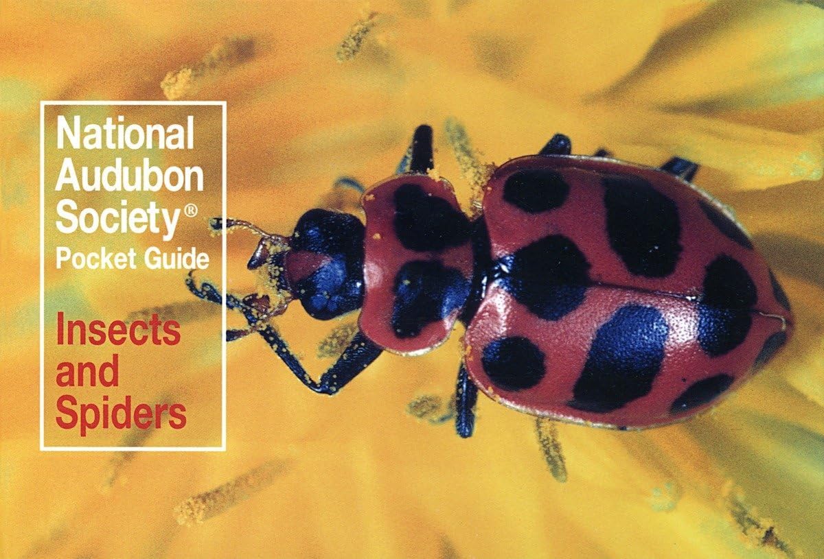 National Audubon Society Pocket Guide: Insects and Spiders: 0000 (National Audubon Society Pocket Guides)
