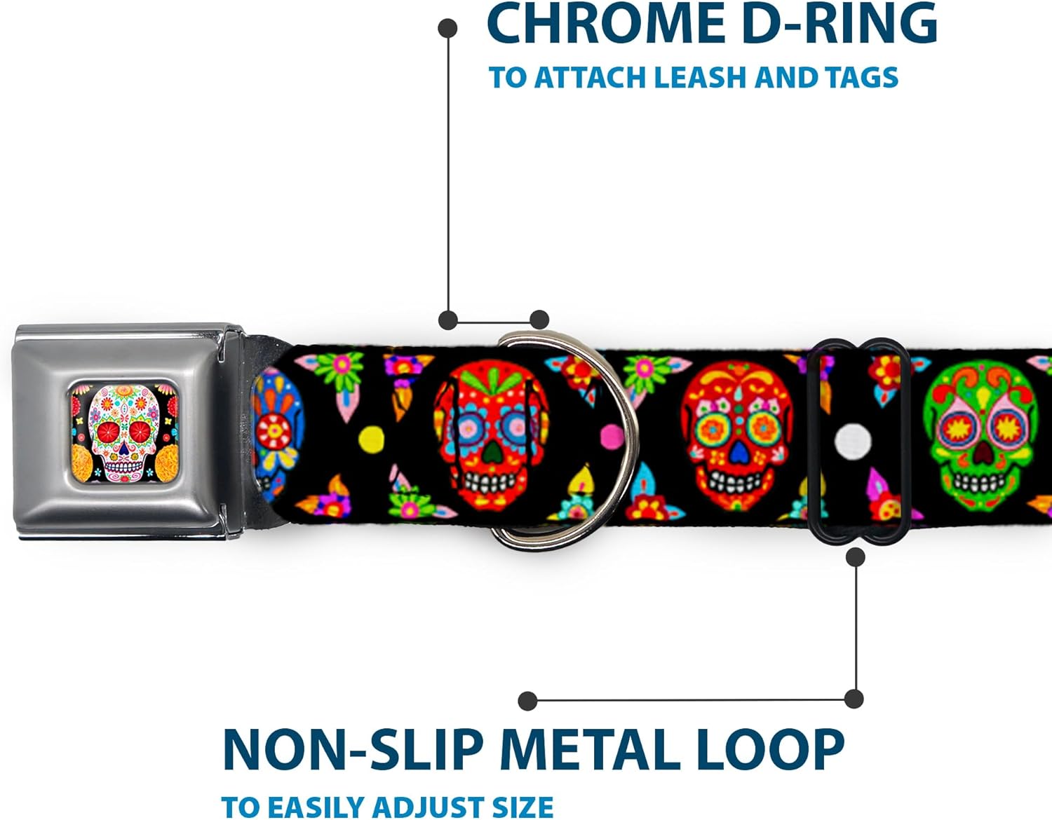 Dog Collar Seatbelt Buckle Colorful Calaveras Black Multi Color 11 to 17 Inches 1.0 Inch Wide