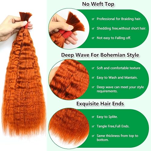 Miniatura 2 de Extensiones de cabello humano a granel para trenzar, sin trama, para trenzar, 24 pulgadas (3.53 onzas (3.53 oz (1 paquete2 paquetes)) 100% sin