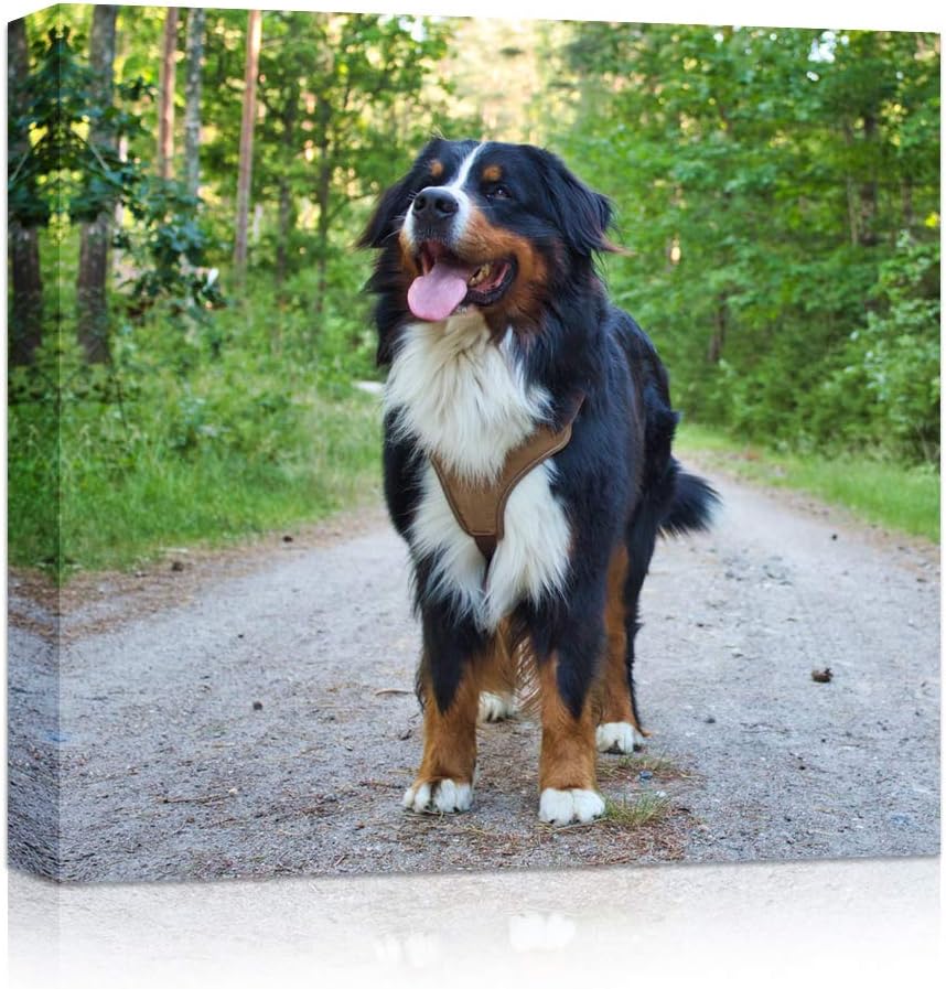 HIWORD Custom Canvas Prints with Your Photos for Pet/Animal, Personalized Canvas Pictures for Wall to Print Framed (16" W x 20" H)