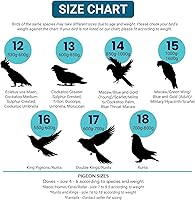 Vista 6 de Candy Stripe Mini Talla 5