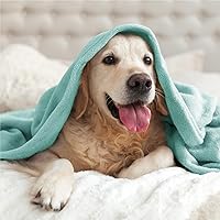 Vista 195 de BEDELITE Fleece Blanket White Throw Blanket for Couch & Bed, Luxury Plush Cozy Fuzzy Blanket 50" x 60", Super Soft Warm Lightweight Throw Blanket