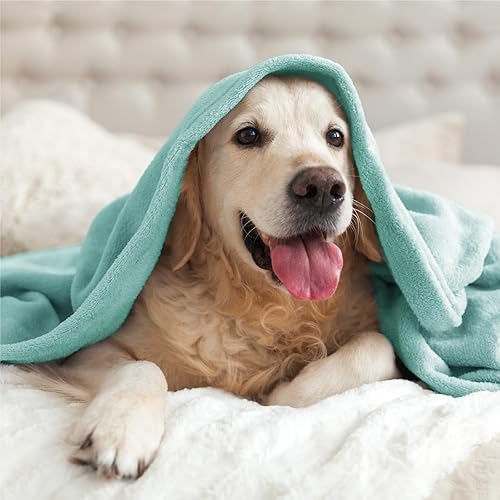 Miniatura 195 de BEDELITE Fleece Blanket White Throw Blanket for Couch & Bed, Luxury Plush Cozy Fuzzy Blanket 50" x 60", Super Soft Warm Lightweight Throw Blanket