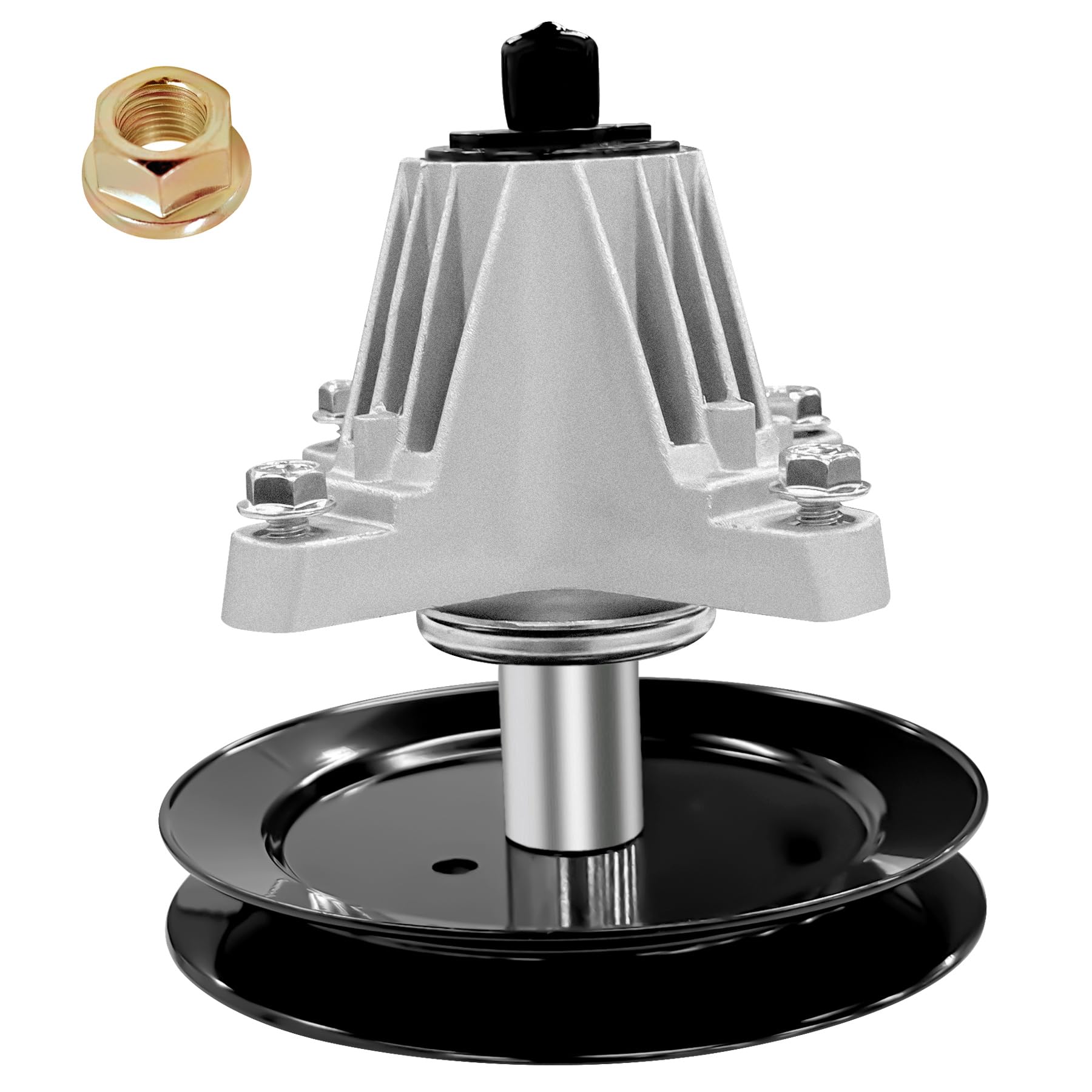 骨盤P Kotsbeirne Aster 骨盤P Kotsbeirne Aster