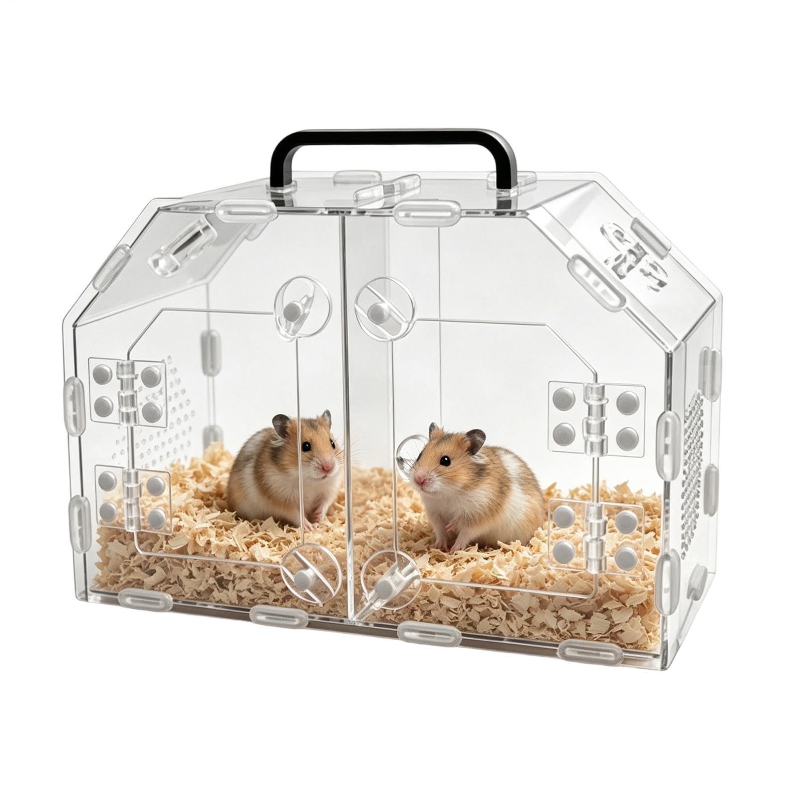 Terrarium lézard et dragon barbu portable pour bureau, maison et voyages