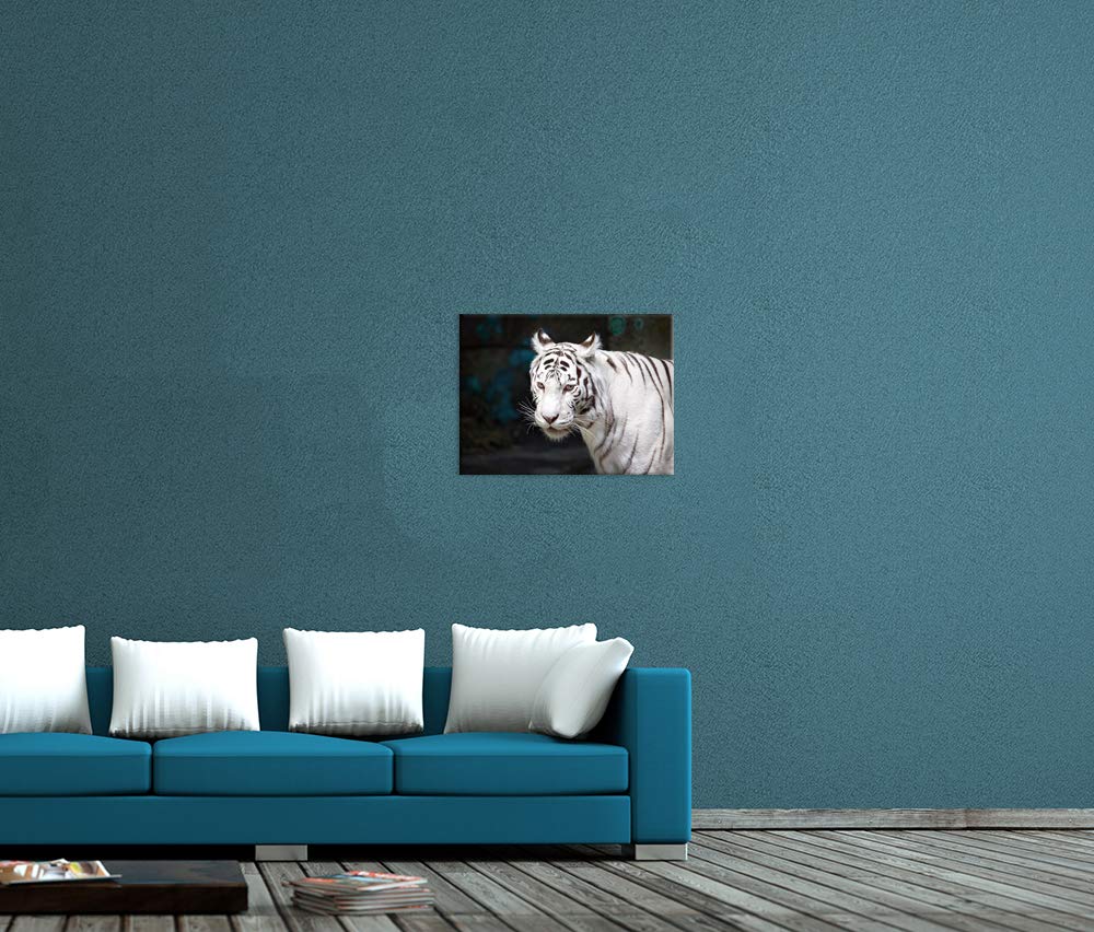 Tableau Toile Tigre Dans L'eau - 60x60 Cm - Impression D'art Sur Toile Montée Sur Châssis | Décor Animalier Moderne