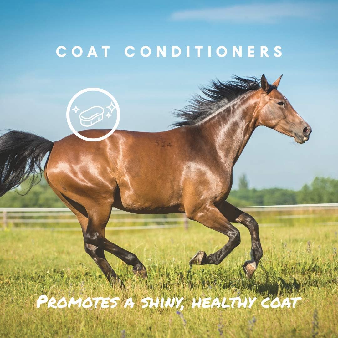 Espree Aloe Herbal Horse Spray | Fly Repellent with Aloe, Sunscreen, and Coat Conditioners | Promotes a Healthy Coat and Protection from The Sun | 32 oz Concentrate : Horse Fly Control : Pet Supplies