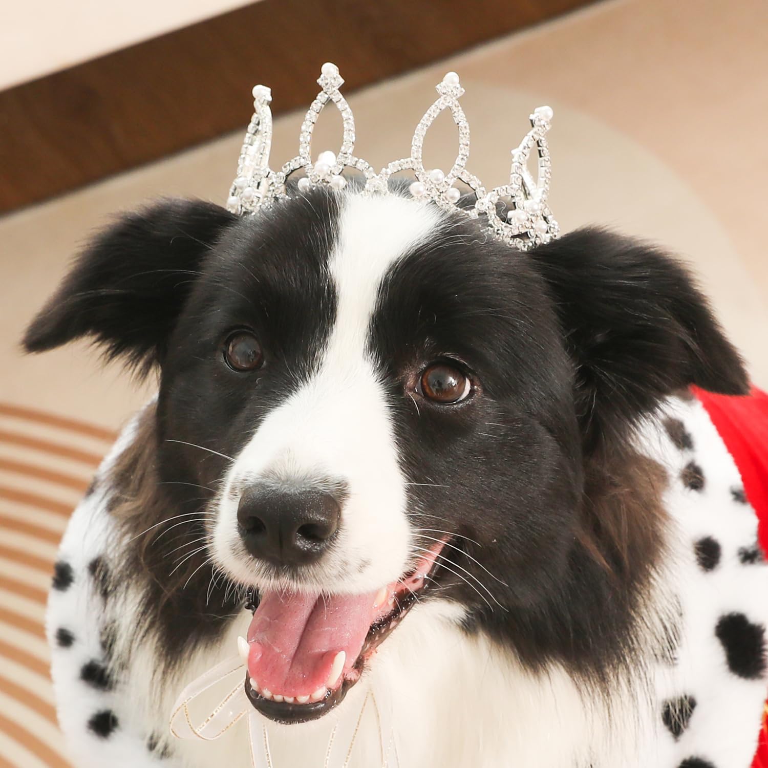 Lovelyshop Pet Series Silver Plated Royal Rhinestone Pearl Full Round Dog/Cat Crown for Rolyal Family Costume Hair Accessories-Large Size