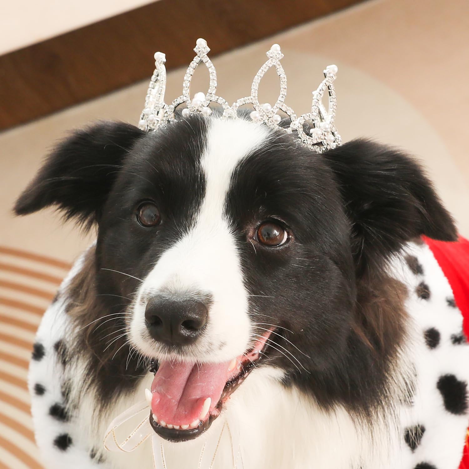 Lovelyshop Pet Series Silver Plated Royal Rhinestone Pearl Full Round Dog/Cat Crown for Rolyal Family Costume Hair Accessories-Large Size