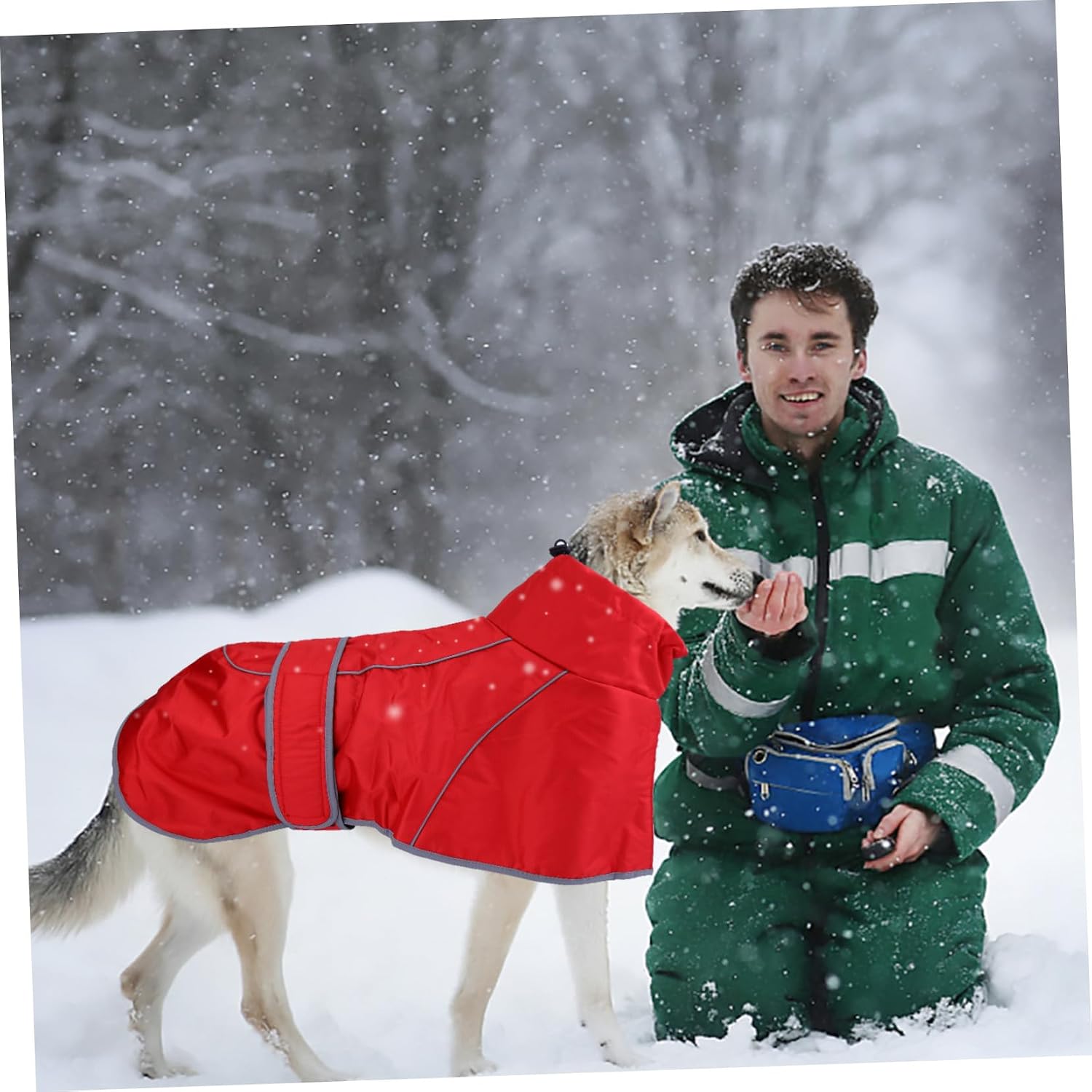 HEMOTON Pet Dog Raincoat Waterproof Outdoor Jacket Red L Protective Dog Jumpsuit for Autumn Winter Hooded Pet Rainwear