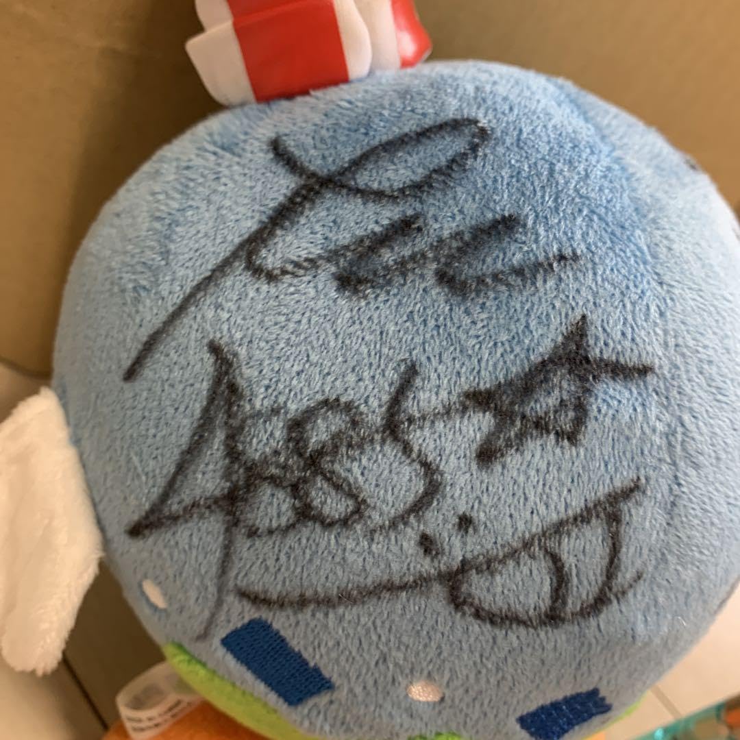 大山千広 選手 親子 直筆サイン入りアシ夢ぬいぐるみ Amazon.co.jp: 芦屋競艇キャラクターアシ夢サイン入り、大山博美