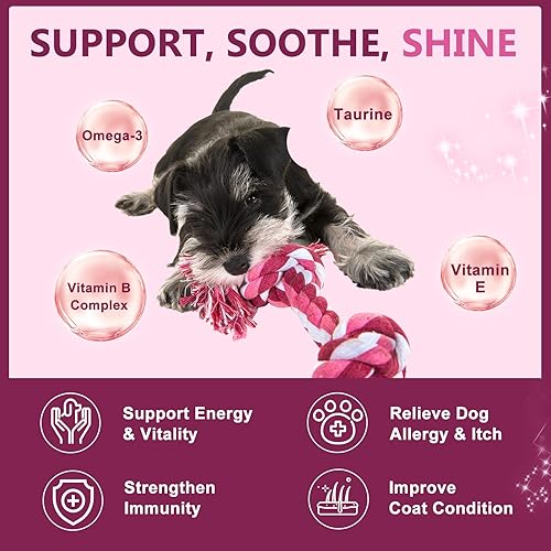 Miniatura 4 de Probióticos para perros, probióticos para perros para la salud digestiva, 6 mil millones de UFC, con prebióticos y enzimas digestivas, calabaza y