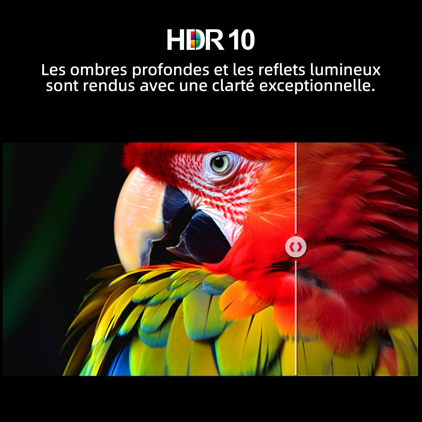Telewizor Google QLED 4K UHD CHIQ 50QA10 50 cali HDR10, VRR i ALLM Ultracienki, bezramowe dwuzakresowe audio Dolby Wi-FI