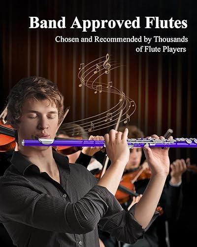 Vista 27 de Eastar Flauta de 16 teclas Plateado