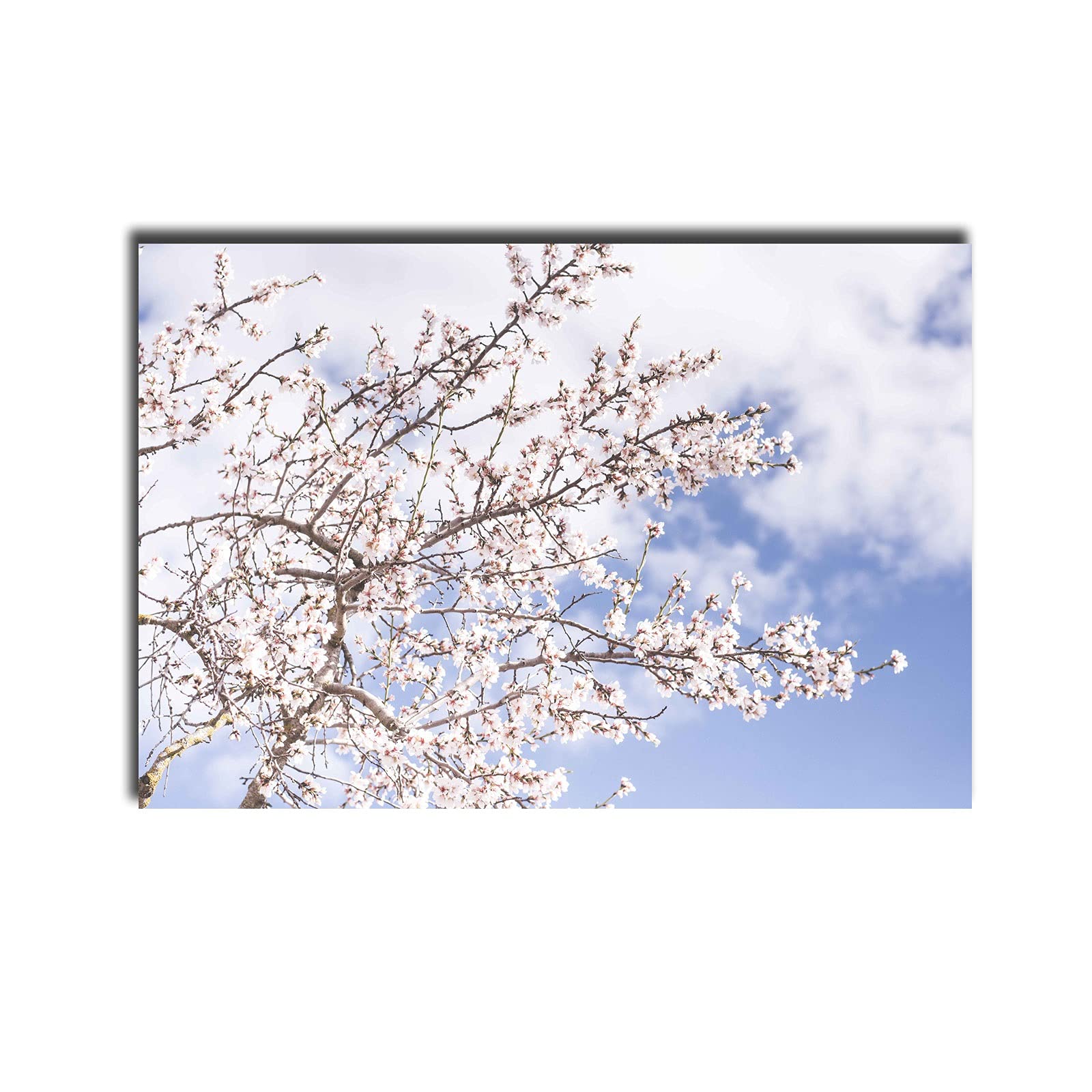 Peinture à l'huile cerisier blossoms pour une ambiance sereine et zen