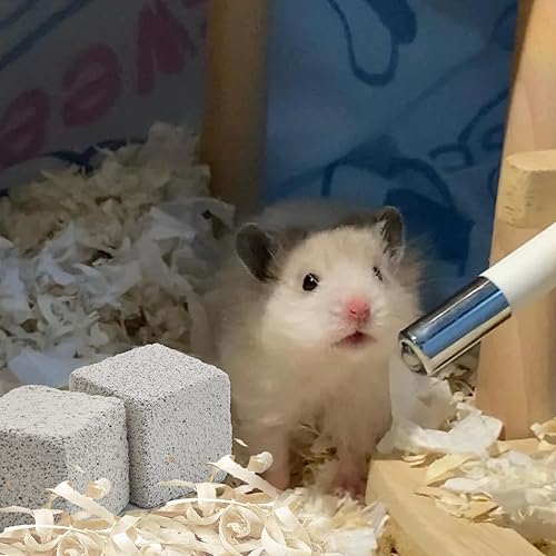 Miniatura 3 de PINVNBY 20 bloques de lava de rabit, bloque de lava de chinchillas, hámster, piedra mineral, animales pequeños, cuadrados, piedras de calcio,