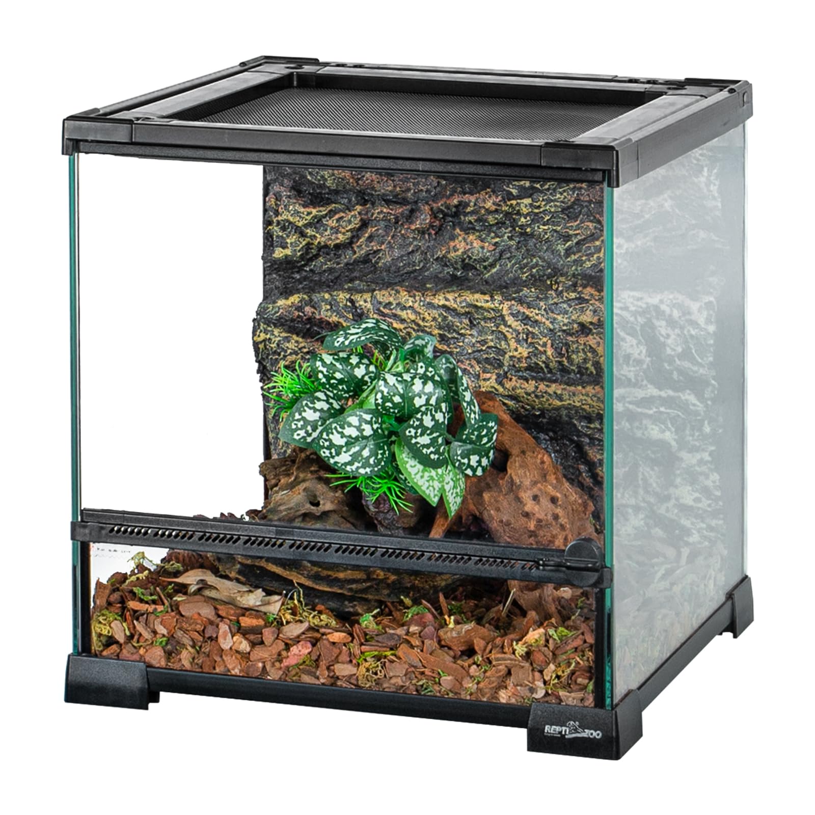 Amazon.com: REPTI ZOO: REPTILE PLANT