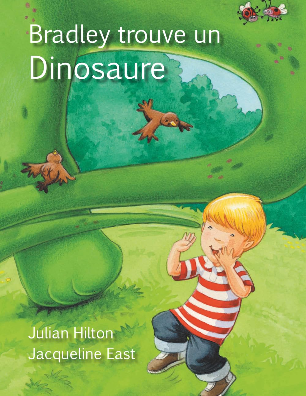Bradley trouve un dinosaure - Hilton, Julian