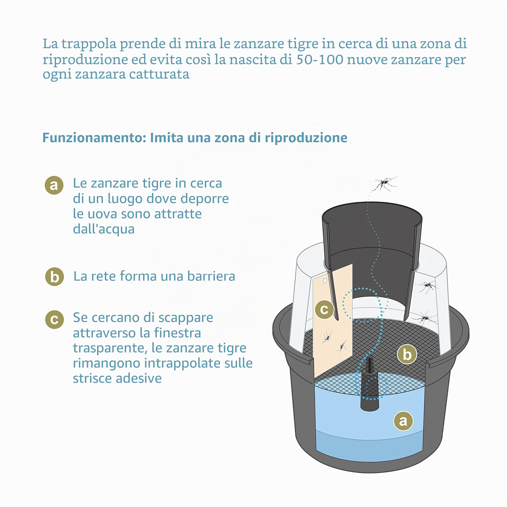 BIOGENTS Set di 2 trappole per zanzare, anti-ponte, anti-zanzare e zanzare, tigre, limita la riproduzione della zanzara e zanzara Tigre, senza elettricità BG-GAT2