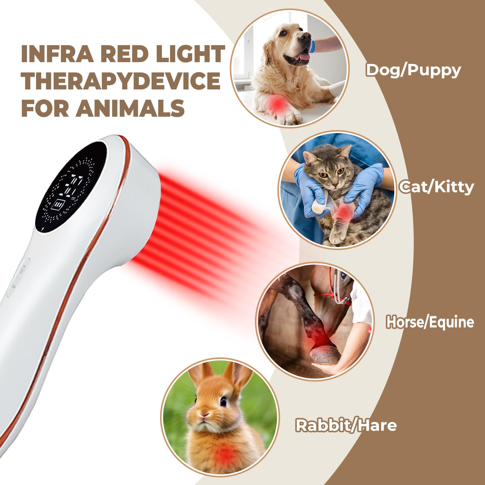 Dispositivo portátil de terapia láser frío para perros y mascotas, máquina de tratamiento de luz roja infrarroja con 808 nm y 650 n, equipo de fisioterapia LLLT portátil, animales, peluche, chihuahua