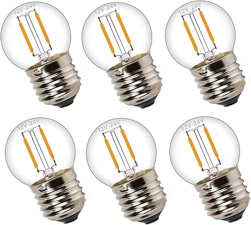 Bombillas LED de bajo voltaje de 12 voltios, suaves y cálidas, 2700 K, 1 W (solo para 12 V -24 V CCCA) - Bombilla de globo pequeña con base Edison