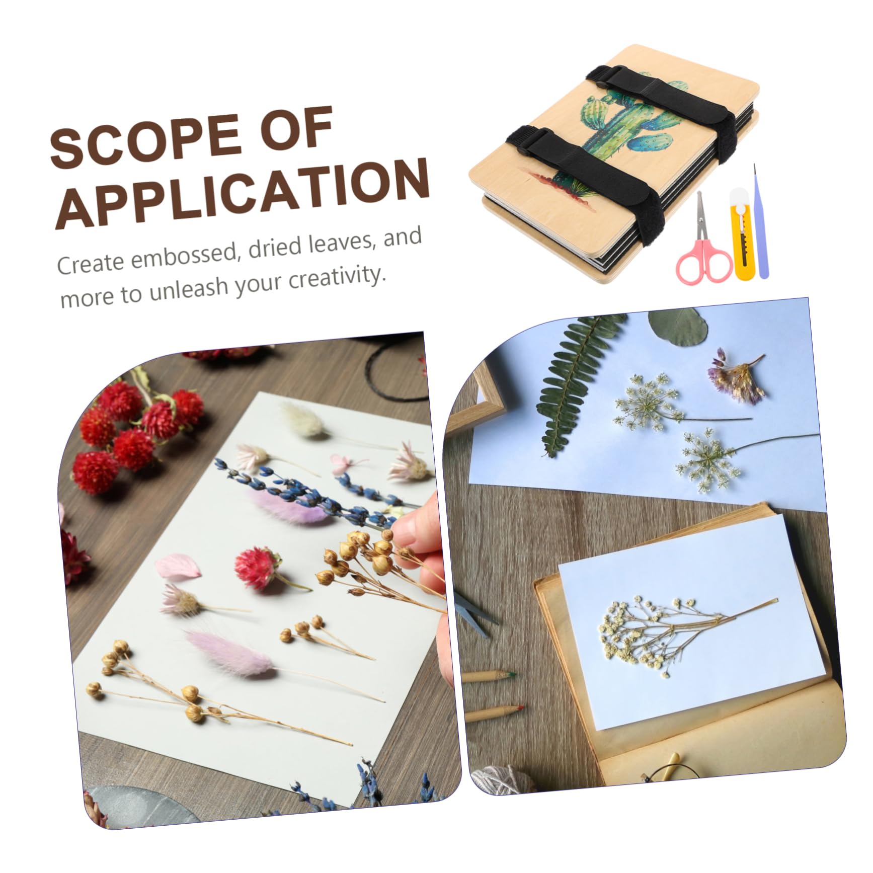 Tofficu 4sätze Blumenpress-set Für Kreative -projekte Werkzeug Von Pflanzen Und Botanischen Exemplaren Für Kunst Und Dekoration Und Tragbar