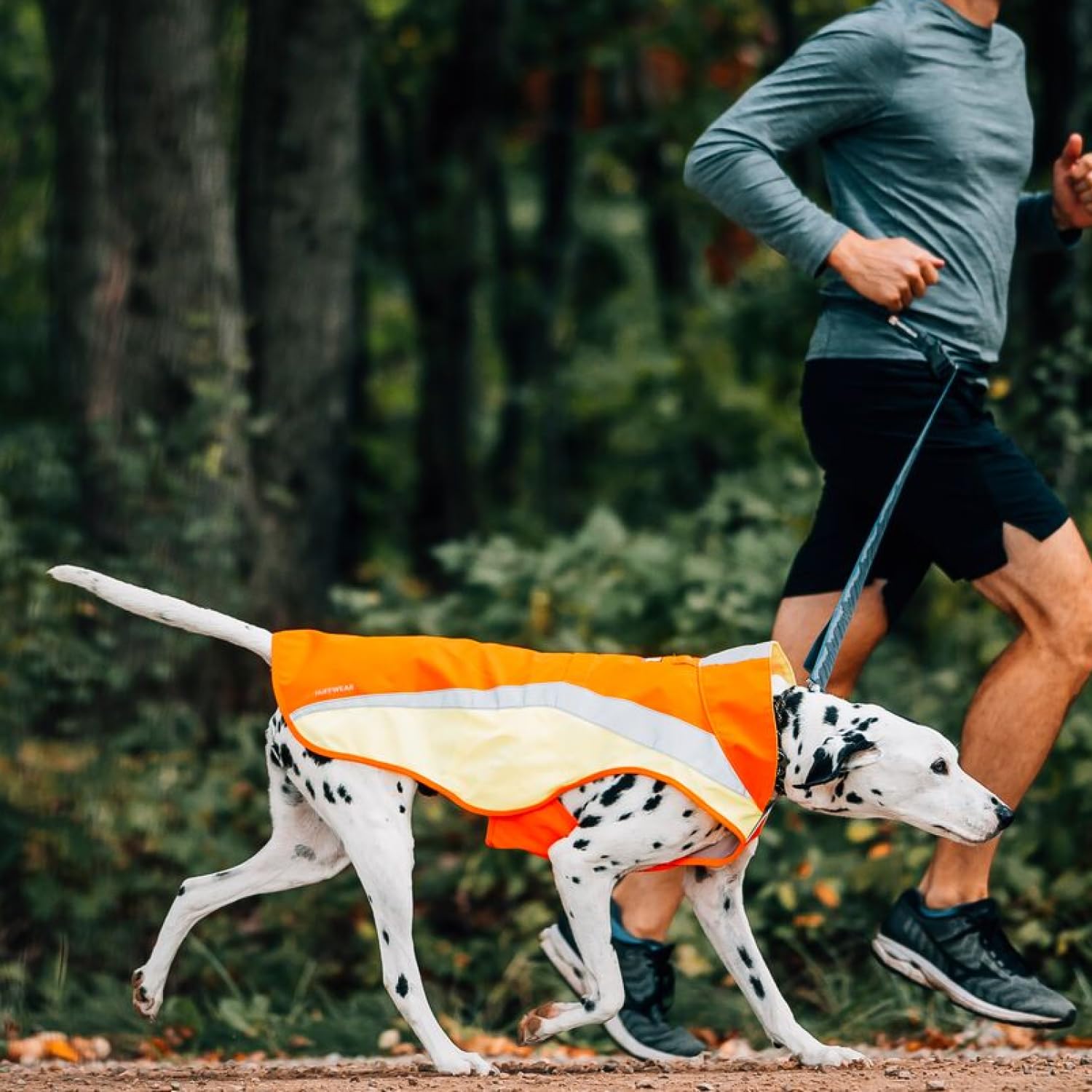 RUFFWEAR Chaqueta de Perro Reflectante de Alta Visibilidad, Lumenglow, Abrigo de Perro Reflectante de Alta Visibilidad, Resistente al Agua y Resistente a la abrasión, X-Large, Granite Grey