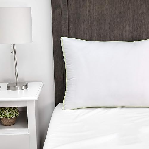 BioPEDIC - Juego de 2 almohadas con refuerzo de lujo con tecnología Nanotex Coolest Comfort, Queen, color blanco