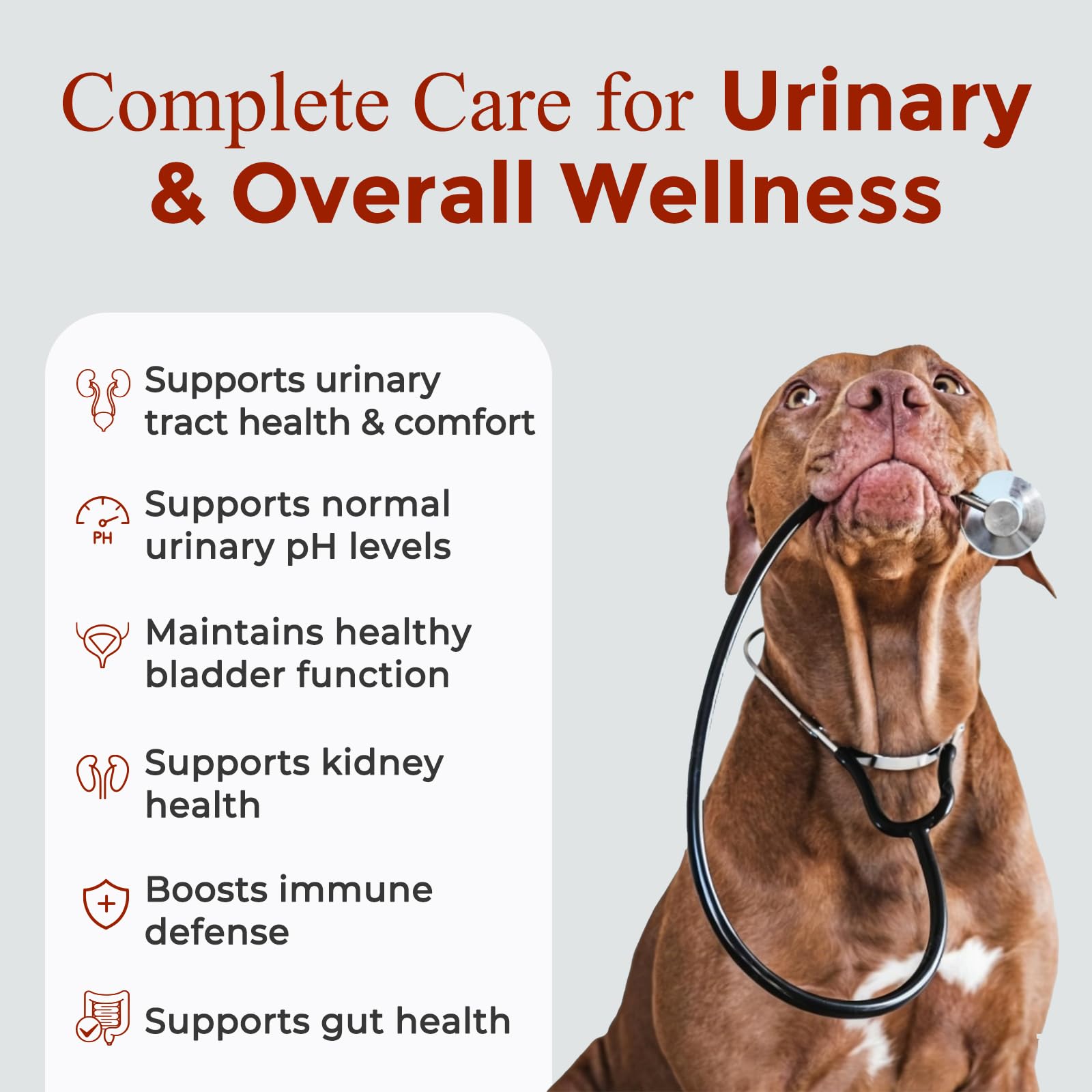 NATURE TARGET Dog UTI Treatment, Cranberry Supplement for Dogs 120 Chews — Amazon image 2