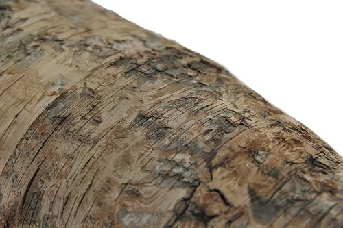 Miniatura 4 de Zeckos Estatua de canoa de madera de corteza de abedul rústica decorativa de 31 pulgadas de largo