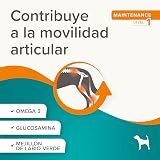 Ver la foto 3