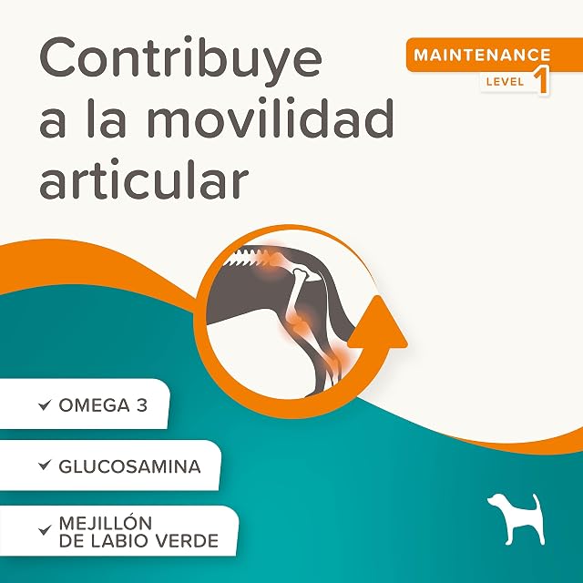 Foto 3 de 8 de Beaphar Flexifit Sticks - barritas articulares para Perros Activos - Sabor a Carne