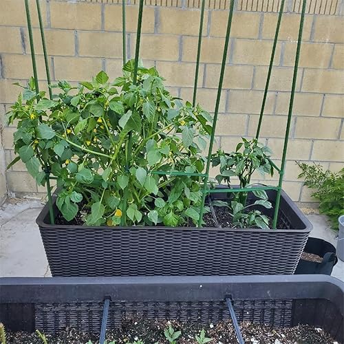 Miniatura 4 de Estacas de jardín, varillas resistentes de soporte para plantas, 20 estacas de núcleo de acero recubierto de plástico con 5 conectores para plantas