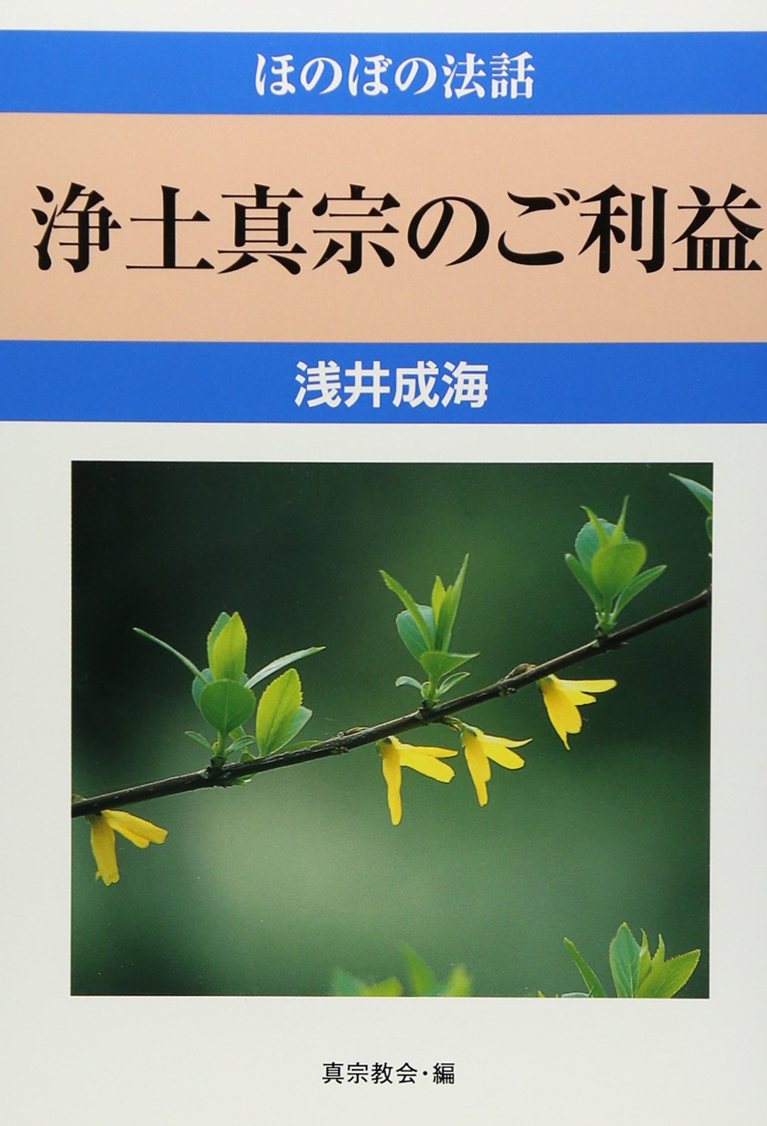 Amazon.co.jp: 浅井 成海: 本、バイオグラフィー、最新アップデート