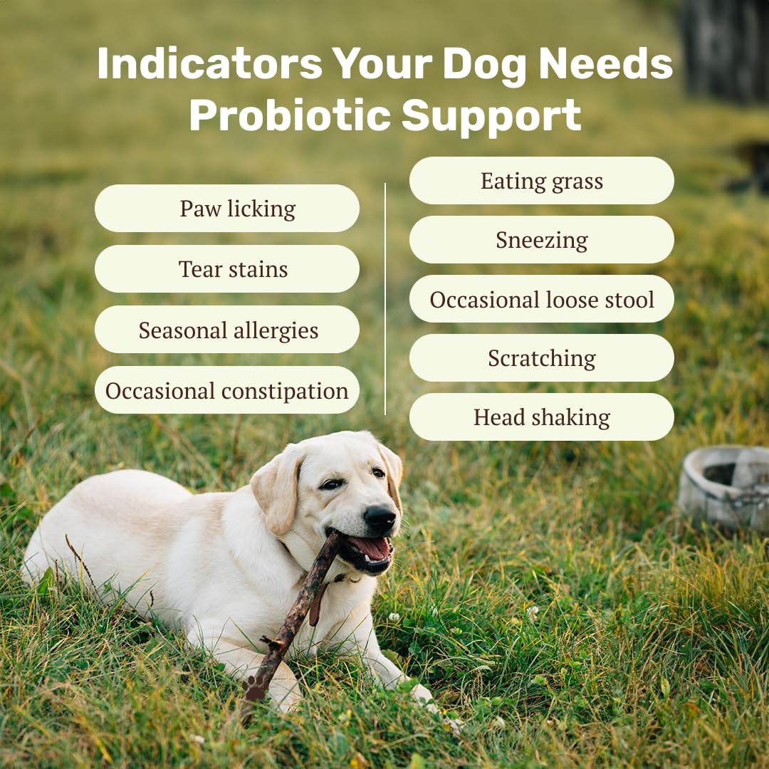 Absolut Pet Probiotic Hypoallergenic Chews for Dogs |30 Chews — Amazon image 4