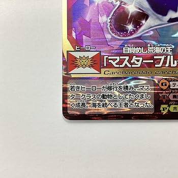 アニマルカードゲーム フルコンプセット 新品 lead-netstore_acg302505tt129