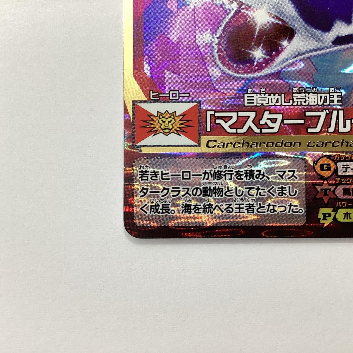 アニマルカイザー 百獣大戦グレートアニマルカイザー闘獣録4｜発売日：2013年5月28