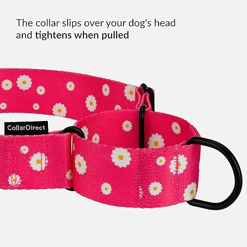 Miniatura 3 de CollarDirect Collares Martingale para perros con patrón floral resistente, seguridad para mujeres, de nailon, cuello ancho, diseño de flores, talla