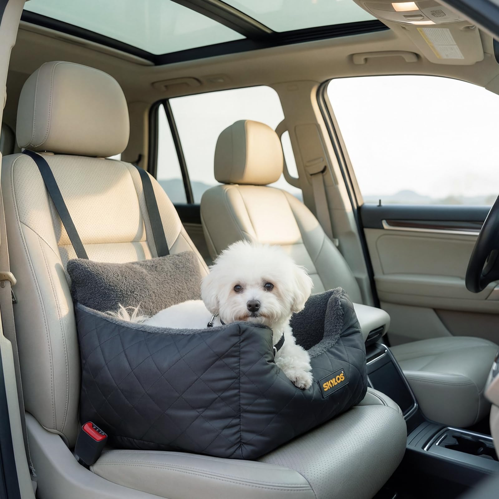 Small Dog Car Seat, Waterproof Dog Booster Seat with Clip-On Safety Leash, Elevated Car Dog Bed for Front or Back Seat, Travel Pet Bed for Puppies and Cats up to 15 kg