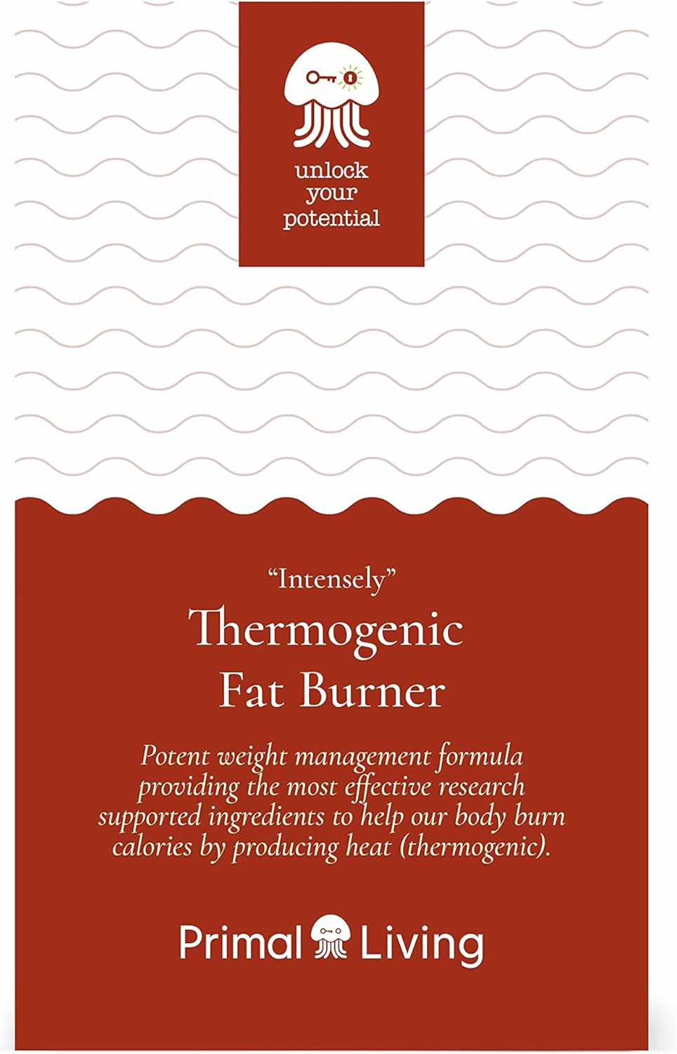Thermogenic Fat Burner – 30 Vegan Capsules with Caffeine, Green Tea, Capsicum & Chromium – Supports Metabolism, Energy & Weight Management