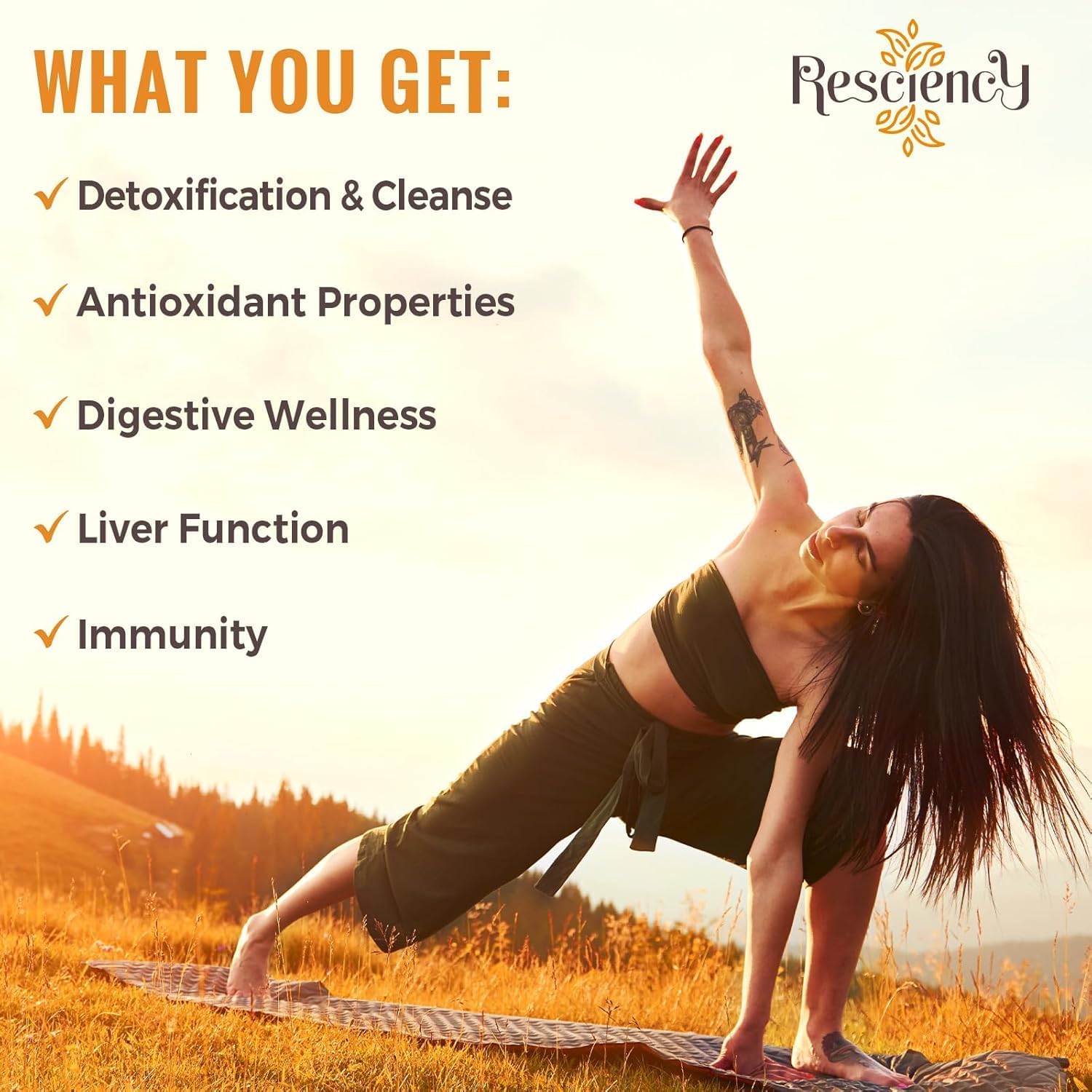 Detox Binder Supplement – Activated Charcoal, Zeolite, Bentonite Clay, Milk Thistle, Proprietary Blends - Liver & Gut, Max Absorption, 270 Vegan Capsules - Image 5