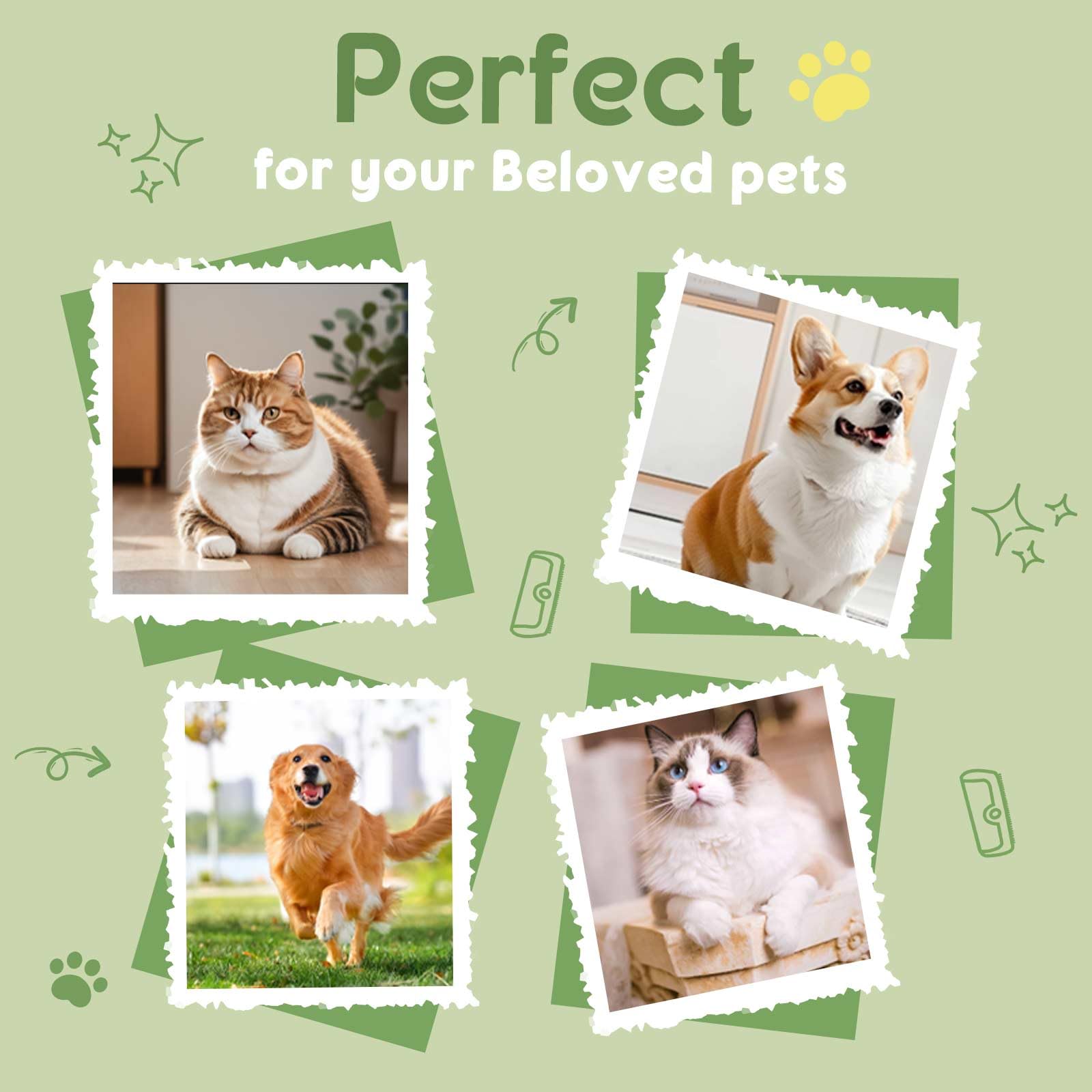 Premium Deshedding Brush for Dogs Cats & Pets - Image 4