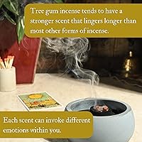 Vista 5 de Shamans Market Incienso Maya Copal Resina 4 oz