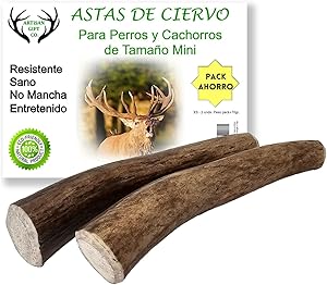 Asta de Ciervo Natural