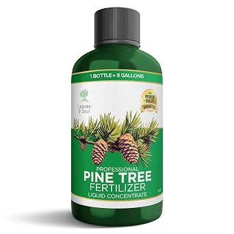 Leaves and Soul Pine Tree Fertilizer 8 oz, Professional Liquid Pine Tree Fertilizer 6-4-6 Concentrate for Pine Trees, Shrubs, Evergreens, Privacy Hedges and Outdoor Garden Use
