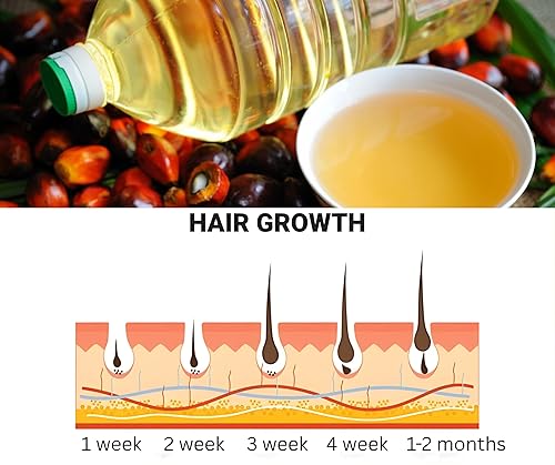 Miniatura 3 de Aceite para el crecimiento del cabello Batana, apoya el nuevo crecimiento, penetra el eje para reparar y fortalecer, 100% sin refinar, nutre, reduce