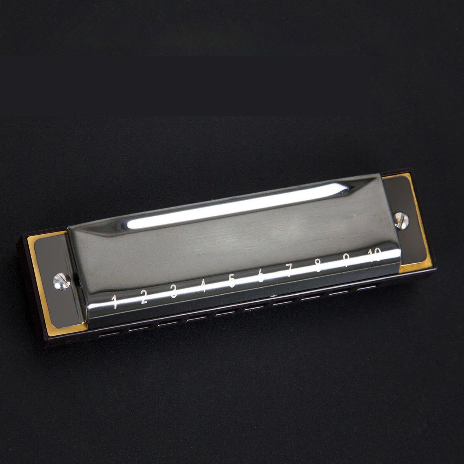 Einsteiger Mundharmonika Edelstahl Blues Französische Mundharmonika Phosphorbronze 10 Löcher C-Dur Ideal Für Anfänger