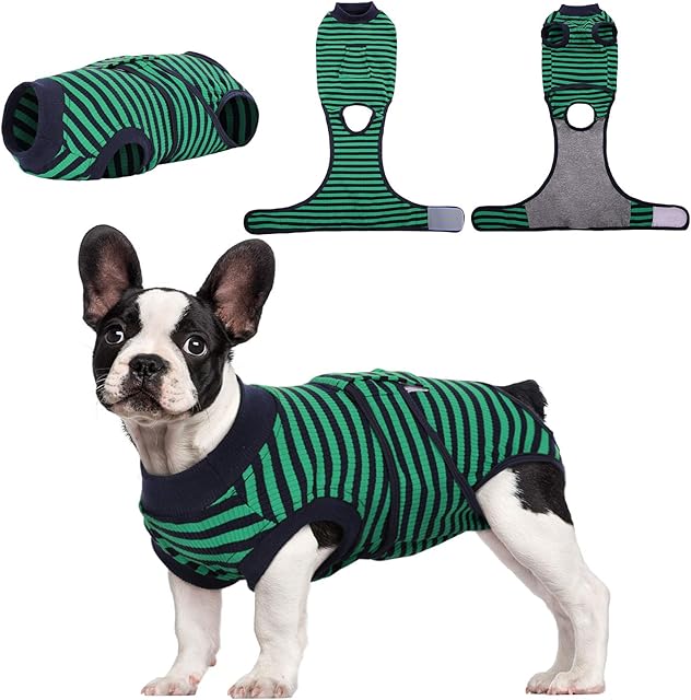 Kuoser Dog Surgery Recovery Suit for After Surgery Female,Professional Pet Recovery Shirt Dog Abdominal Wounds Bandages,Substitute E-Collar & Cone,Prevent Licking Dog Onesiesgreen XS
