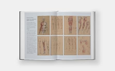 Basic Human Anatomy: An Essential Visual Guide for Artists