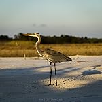 Review Image by Bullitt Head